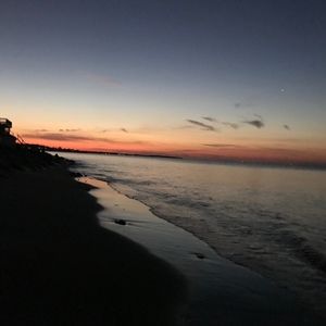 Meet your Posher, Molly